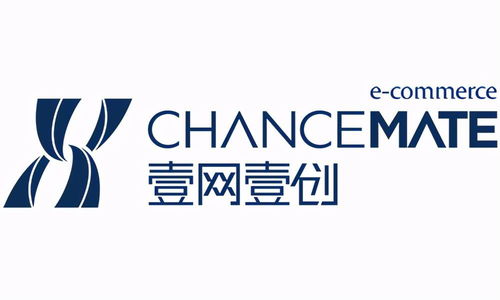 2023年電商代運(yùn)營(yíng)十大公司排名與品牌管理能力解析